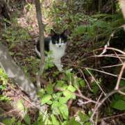 ヒメ日記 2025/11/28 15:00 投稿 こなつ モアグループ小山人妻花壇