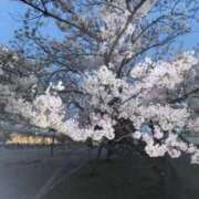 ヒメ日記 2026/04/05 19:12 投稿 りょうか◇モデル系美人J.D◇ H-ash（アッシュ）