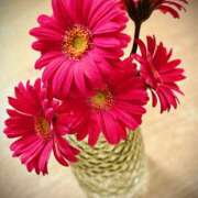 ヒメ日記 2025/10/14 23:46 投稿 さよ 大阪人妻援護会