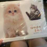 ヒメ日記 2026/01/13 18:21 投稿 さき 夜這専門発情する奥様たち 谷九店