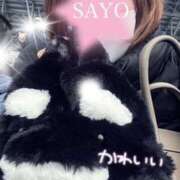 ヒメ日記 2026/02/13 15:51 投稿 さよ 阪神人妻花壇