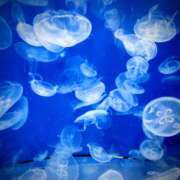 ヒメ日記 2026/03/05 16:50 投稿 ことみ 大塚 虹いろ回春