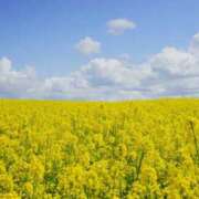 ことみ ことみの今日のことワザ【3月7日】 大塚 虹いろ回春