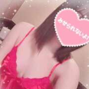 ヒメ日記 2025/12/04 12:22 投稿 きこ sakura