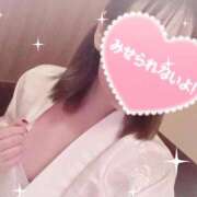 ヒメ日記 2025/12/08 12:22 投稿 きこ sakura