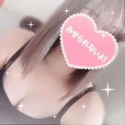 ヒメ日記 2025/12/11 12:22 投稿 きこ sakura