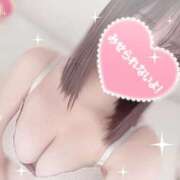 ヒメ日記 2025/12/12 12:22 投稿 きこ sakura