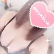 ヒメ日記 2025/12/31 10:02 投稿 きこ sakura