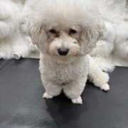 ヒメ日記 2026/03/30 21:12 投稿 きこ sakura