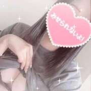 ヒメ日記 2026/04/05 10:12 投稿 きこ sakura