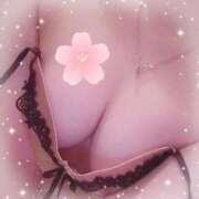 きこ 夜も❣ sakura