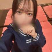 ここな 飼い主さん募集･･･♡ 新宿平成女学園