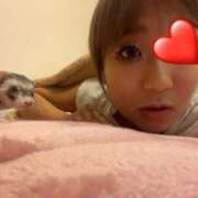 ヒメ日記 2026/02/15 16:02 投稿 こあ 池袋ぱんぷきん（シンデレラグループ）