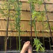 ヒメ日記 2025/10/20 14:37 投稿 しほ 新宿スピン