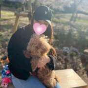 ヒメ日記 2026/04/02 23:37 投稿 しほ 新宿スピン