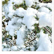 ヒメ日記 2026/01/04 08:34 投稿 佐々木ほのか しゅうかつ倶楽部