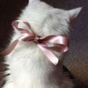 ヒメ日記 2025/10/10 14:32 投稿 早乙女 うゆ 夜這い＆イメクラ妄想する女学生たち谷九校