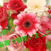 ヒメ日記 2026/05/30 12:46 投稿 水口ひろ子 五十路マダム 徳島店