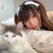 ヒメ日記 2025/10/13 19:18 投稿 もも 静岡駅前ちゃんこ