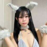 ヒメ日記 2025/11/02 06:51 投稿 もも 静岡駅前ちゃんこ