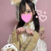 ヒメ日記 2025/11/10 20:05 投稿 しの E+アイドルスクール新宿・歌舞伎町店