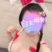 ヒメ日記 2025/11/06 02:30 投稿 かぐや 恋するバニー