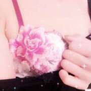 ヒメ日記 2025/11/14 20:05 投稿 ののか 京都人妻デリヘル倶楽部