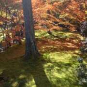 ヒメ日記 2025/11/17 22:47 投稿 ののか 京都人妻デリヘル倶楽部