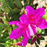 ヒメ日記 2026/04/17 21:04 投稿 ののか 京都人妻デリヘル倶楽部