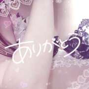 ヒメ日記 2026/02/14 03:45 投稿 ののか 京都ホテヘル倶楽部