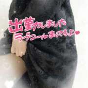 ヒメ日記 2026/02/14 18:50 投稿 ののか 京都ホテヘル倶楽部