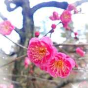 ヒメ日記 2026/02/01 23:41 投稿 ののか DCP