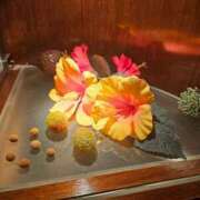 あさみ奥様 女の子の日。 なすがママされるがママ