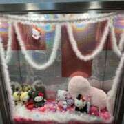 ヒメ日記 2026/03/22 12:34 投稿 ありす モアグループ宇都宮人妻花壇