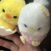 ヒメ日記 2026/04/14 17:32 投稿 ありす モアグループ宇都宮人妻花壇