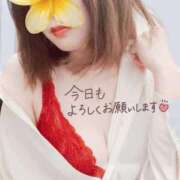 ヒメ日記 2025/12/19 11:43 投稿 志乃塚 琴音 CASA BIANCA（カーサ・ビアンカ）