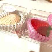 ヒメ日記 2026/04/15 20:22 投稿 志乃塚 琴音 CASA BIANCA（カーサ・ビアンカ）