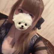 ヒメ日記 2025/12/24 15:24 投稿 えいみ もしも清楚な20、30代の妻とキスイキできたら横浜店