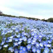 ヒメ日記 2025/12/17 08:42 投稿 りりか ハピネス福岡