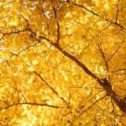 ヒメ日記 2025/11/09 15:25 投稿 海野 パンドラ（吉原）