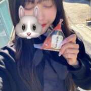 ヒメ日記 2025/11/04 09:12 投稿 みみ CECIL