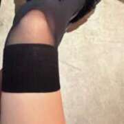 ヒメ日記 2025/11/16 16:23 投稿 みみ CECIL