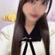 ヒメ日記 2025/11/27 22:03 投稿 みみ CECIL