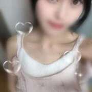 ヒメ日記 2026/03/20 22:17 投稿 みみ CECIL