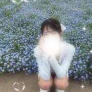 ヒメ日記 2026/04/23 15:01 投稿 みみ CECIL