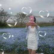 ヒメ日記 2026/04/26 22:54 投稿 みみ CECIL