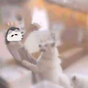 あやめ い～՞･·･՞～ぬっ！ 越谷発デリヘル 生イキッ娘！