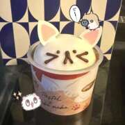 こころ 最近の餌付け事情🐱🍽️ 東京リップ 池袋店