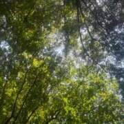 ゆりか 【お礼写メ日記】 横浜人妻花壇本店