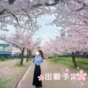 ヒメ日記 2025/12/24 11:04 投稿 恋の華【コイノハナ】 LOVEキタ兎我野店